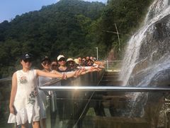 -九龙江国家森林公园