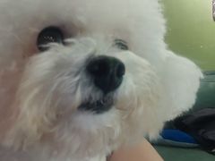 -默迹咖啡馆