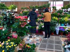 -秦美花卉(天朗·莱茵小城2期店)