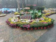 -岳麓山风景名胜区