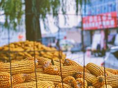 -暖泉古镇