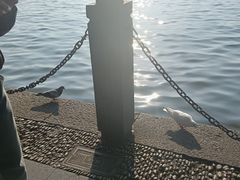 -西湖天地