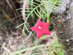 -梁野山景区