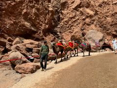 -天山神秘大峡谷