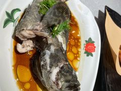清蒸龙胆石斑鱼-达叔香味海鲜(海棠68环球美食街店)