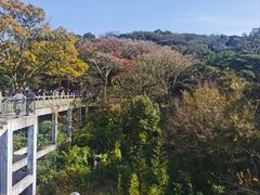 -普陀山风景区-佛顶山