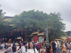 -长鹿旅游休博园