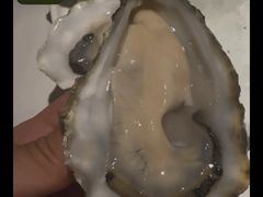 -斯普汇生蚝牛排馆(中骏世界城店)