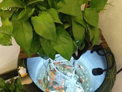 -大赏足道(全运店)