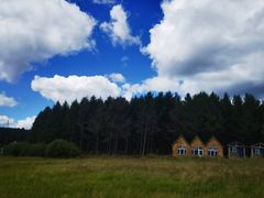 -塞罕坝国家级自然保护区