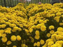 -贵州省植物园