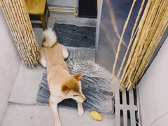 -About Bistro關於·泰式家庭料理