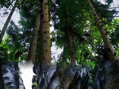 -梭布垭石林景区