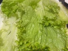 -蒙都43°9羊火锅(平庄店)