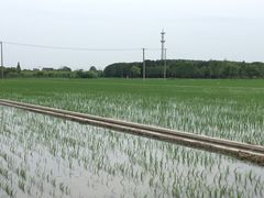 -嘉北郊野公园
