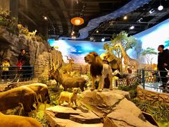 -陕西自然博物馆