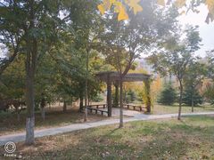 -中国海洋大学（崂山校区）-图书馆