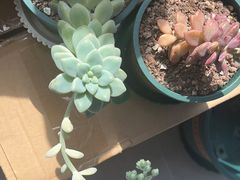 -曲江惠宾苑宾馆(大雁塔大唐不夜城店)