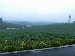 -紫颐香薰山谷景区