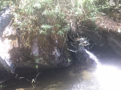 -苍山感通索道