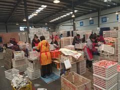 -沈阳市八家子水果批发市场