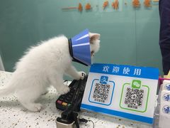 -莘程宠物医院(金山店)