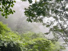 -青峰峡国家森林公园