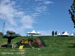-大连铭湖国际观光牧场