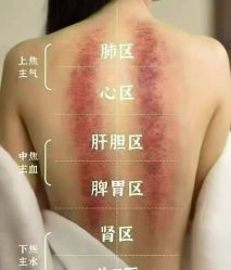-素妍国际皮肤管理中心