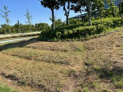 -春花秋色城市公园