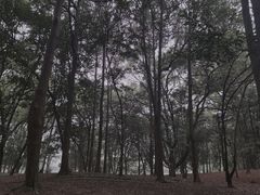 -杭州植物园
