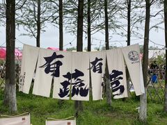 -乌村