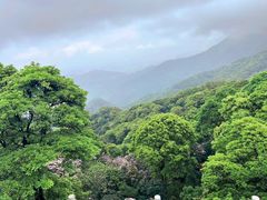 -梧桐山风景名胜区