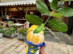 -Grand James·地中海bistro(百家湖1912店)