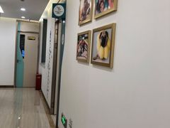-维乐口腔(格林门诊长宁店)