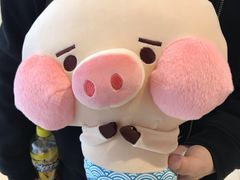 -PAWTOY爪e玩偶店(天兴罗斯福店)