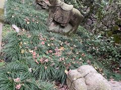 -宁波市保国寺古建筑博物馆