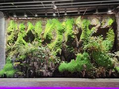 -祥云美食城(南强步行街店)