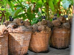 -大象粑粑造纸公园