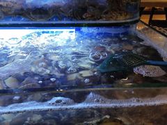 -芭菲盛宴·环球美食(锦城万达广场店)