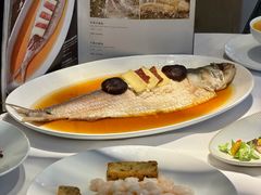 -苏浙汇(肇嘉浜路总店)