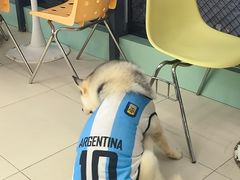 -怪兽屋·羊驼·猫咖·狗咖(俊华广场店)