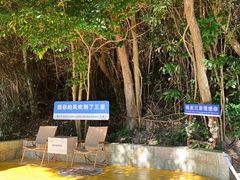 -亚龙湾国际玫瑰谷