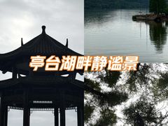 -东湖落雁景区