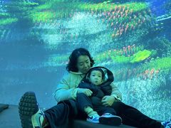 -海合安成都极地海洋公园