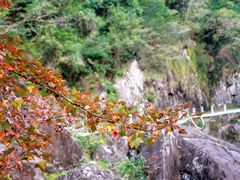 -楠溪江风景名胜区