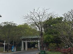 -王借岗森林公园