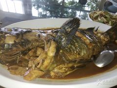 野生大黑头-宏源鑫海鲜餐厅·海景婚宴厅(石老人店)