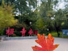 -北极寺公园