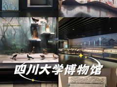 -四川大学博物馆